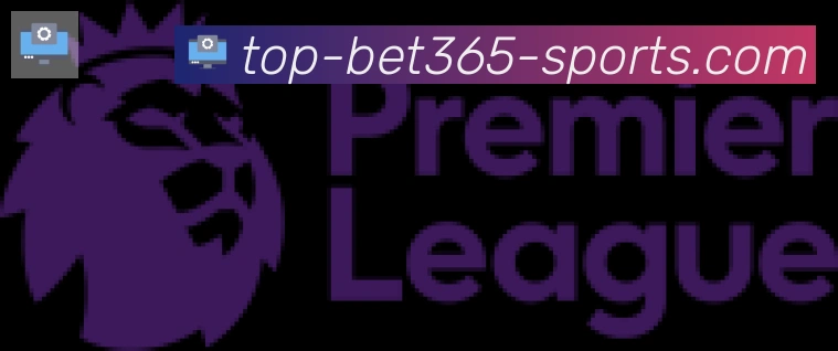bet365在线体育合作伙伴